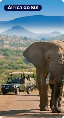 Safari África do Sul - Clube de Viagens